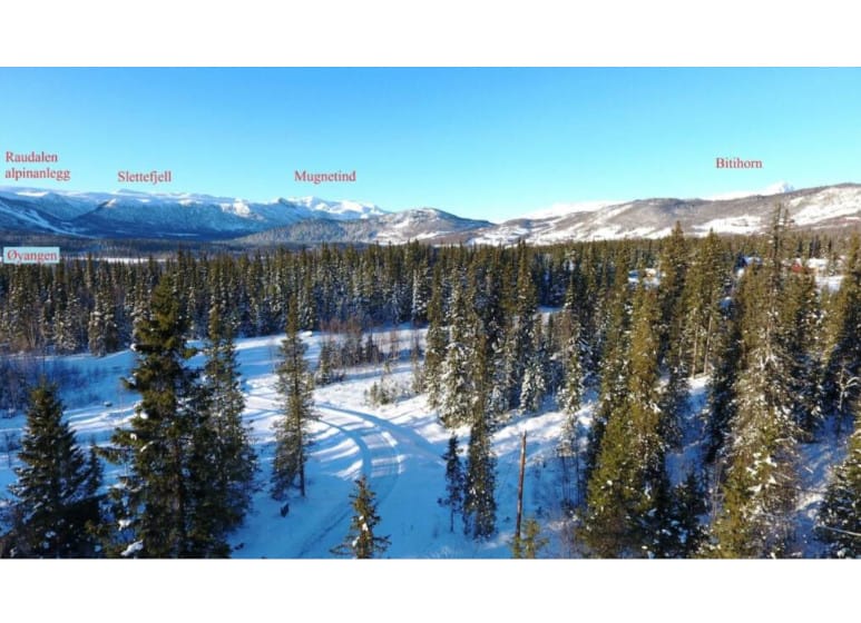 beito-oyangen-omradet-fjellrekke_